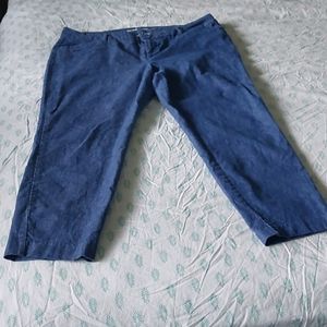 Old Navy Jeans Pixie Pants sz 16